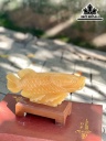 Cá Rồng Đá Ngọc Hoàng Long Cao 30 (cm)