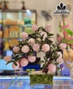 Cây Đào Đá Thạch Anh Hồng Cao 43 Ngang 48 (cm) 9kg