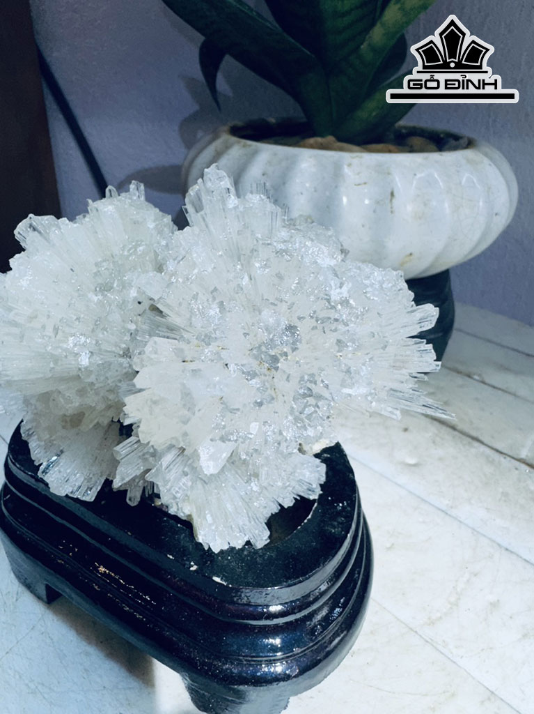 Bông Hoa Ưu Đàm Đá Trầm Tích Cao 14 Ngang 13 (cm) 0,8kg