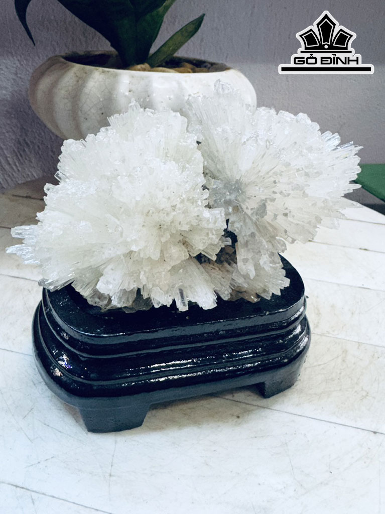 Bông Hoa Ưu Đàm Đá Trầm Tích Cao 14 Ngang 13 (cm) 0,8kg