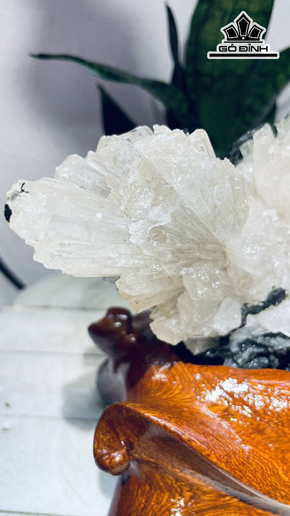 Bông Hoa Ưu Đàm Đá Trầm Tích Cao 17 Ngang 22 (cm) 2kg