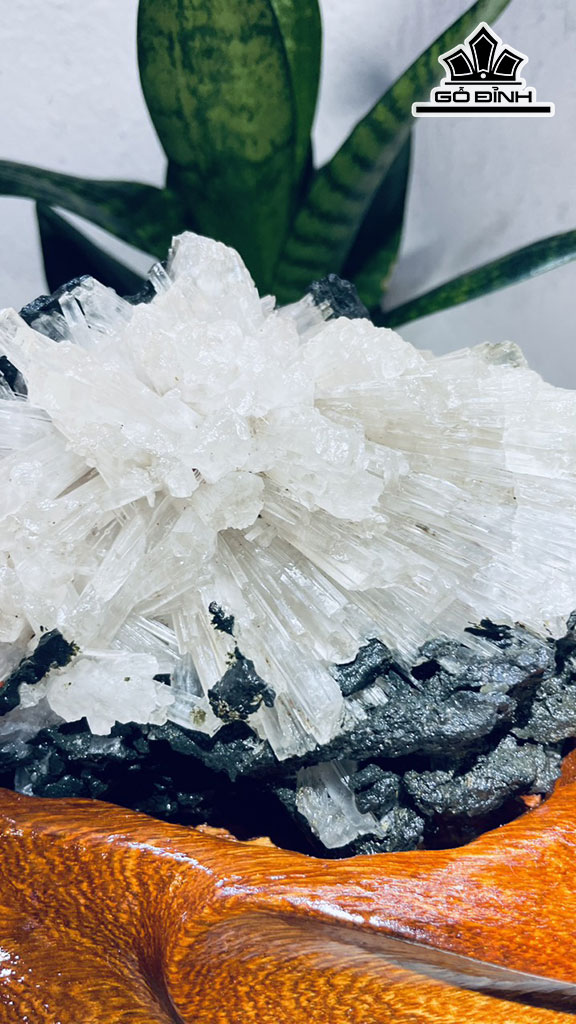 Bông Hoa Ưu Đàm Đá Trầm Tích Cao 17 Ngang 22 (cm) 2kg