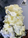 Bông Hoa Ưu Đàm Đá Trầm Tích Cao 19 Ngang 16 (cm) 1,7kg