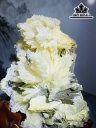 Bông Hoa Ưu Đàm Đá Trầm Tích Cao 19 Ngang 16 (cm) 1,7kg