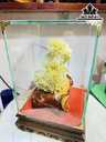 Bông Hoa Ưu Đàm Đá Trầm Tích Cao 30 Ngang 19 (cm) 5kg