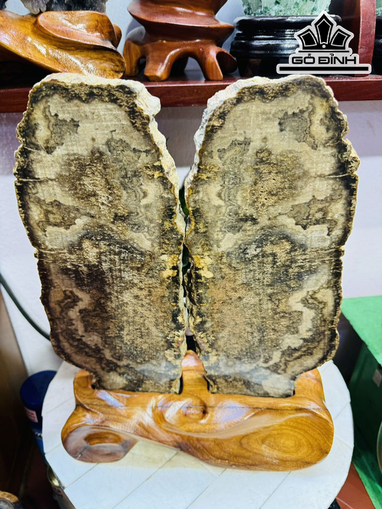 Cặp Gỗ Hóa Thạch Cao 39 Ngang 27 (cm) 7kg