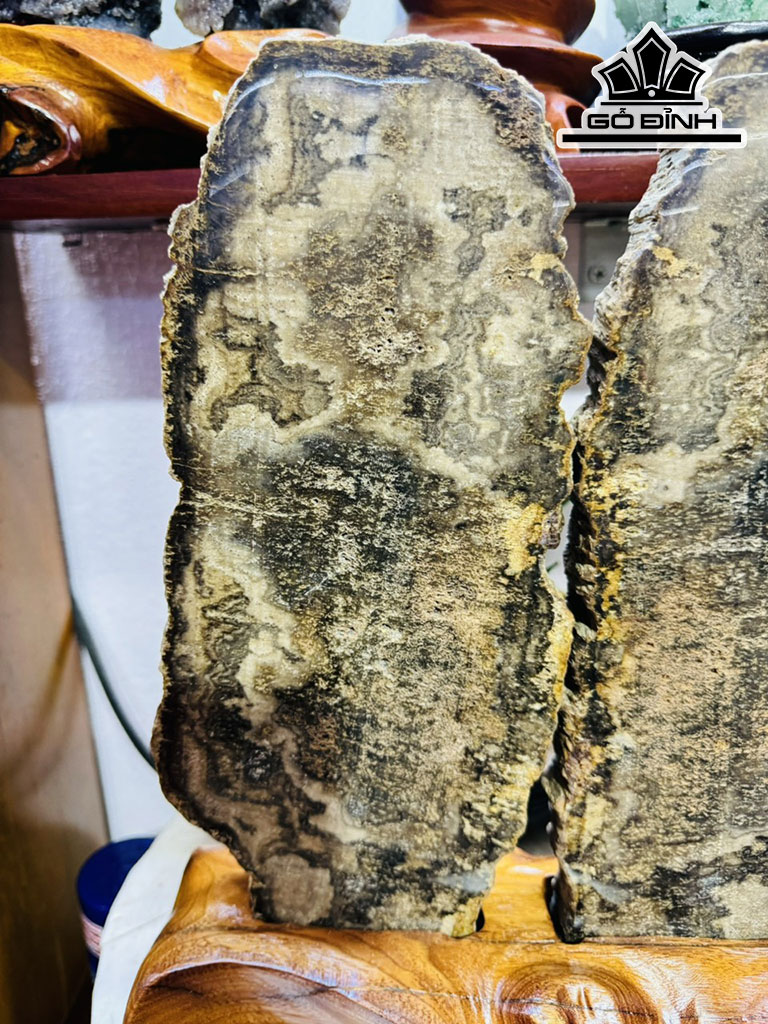 Cặp Gỗ Hóa Thạch Cao 39 Ngang 27 (cm) 7kg