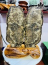 Cặp Gỗ Hóa Thạch Cao 39 Ngang 27 (cm) 7kg