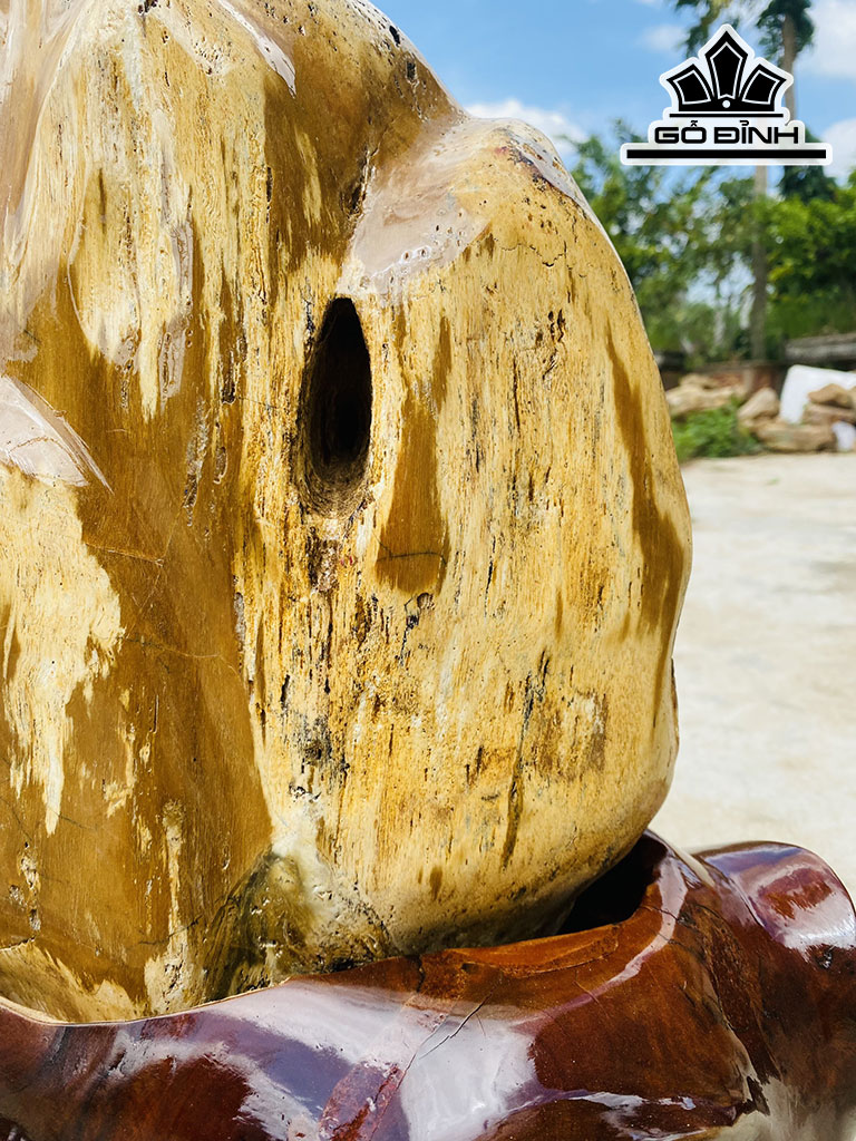 Tác Phẩm Gỗ Hóa Thạch Cao 60 Ngang 60 (cm) 54kg
