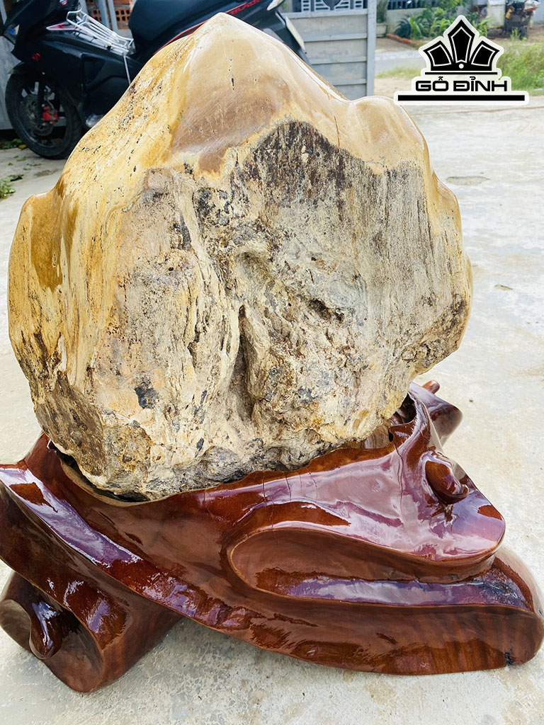 Tác Phẩm Gỗ Hóa Thạch Cao 60 Ngang 60 (cm) 54kg