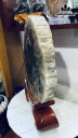 Tác Phẩm Thủy Tùng Gỗ Hóa Thạch Cao 40 Ngang 28 Sâu 3,5 (cm) 7,7kg