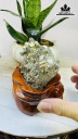 Vàng Găm Tinh Thể Đá Pyrite Cao 12 Ngang 15 (cm) 2,1kg