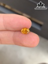 Viên Đá Sapphire Vàng Lửa Cao 6,9 Ngang 4 Sâu 4 (mm) 1,2cts