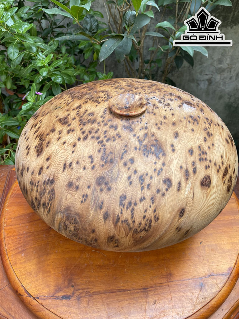 Chum Phú Quý Gỗ Nu Ngọc Am Cao 23 Đường Kính 37 (cm)