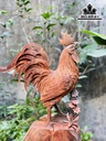 Tượng Gà Trống Gỗ Trắc Cao 55 Ngang 35 Sâu 16 (cm)