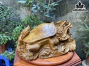Tượng Long Quy Gỗ Xá Xị Cao 26 Ngang 58 Sâu 42 (cm)