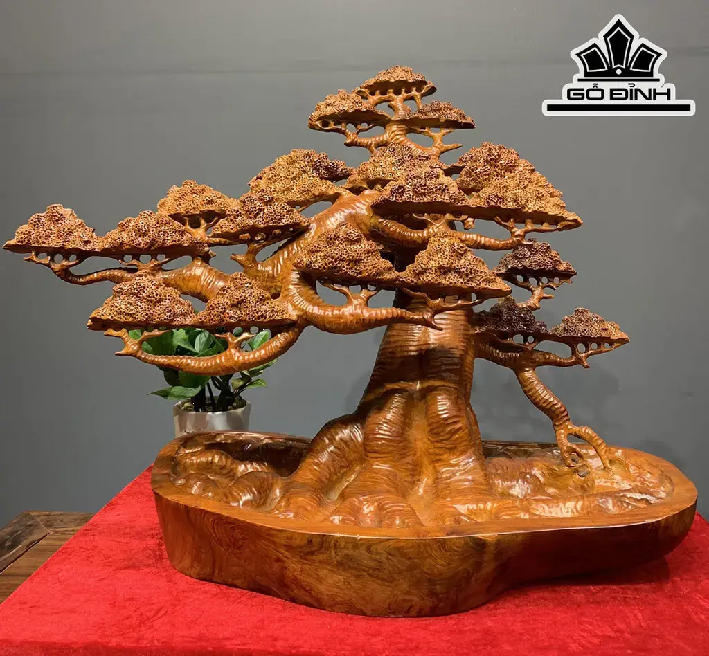 Cây Tùng Bonsai Gỗ Hương Cao 58 Ngang 73 Sâu 38 (cm)