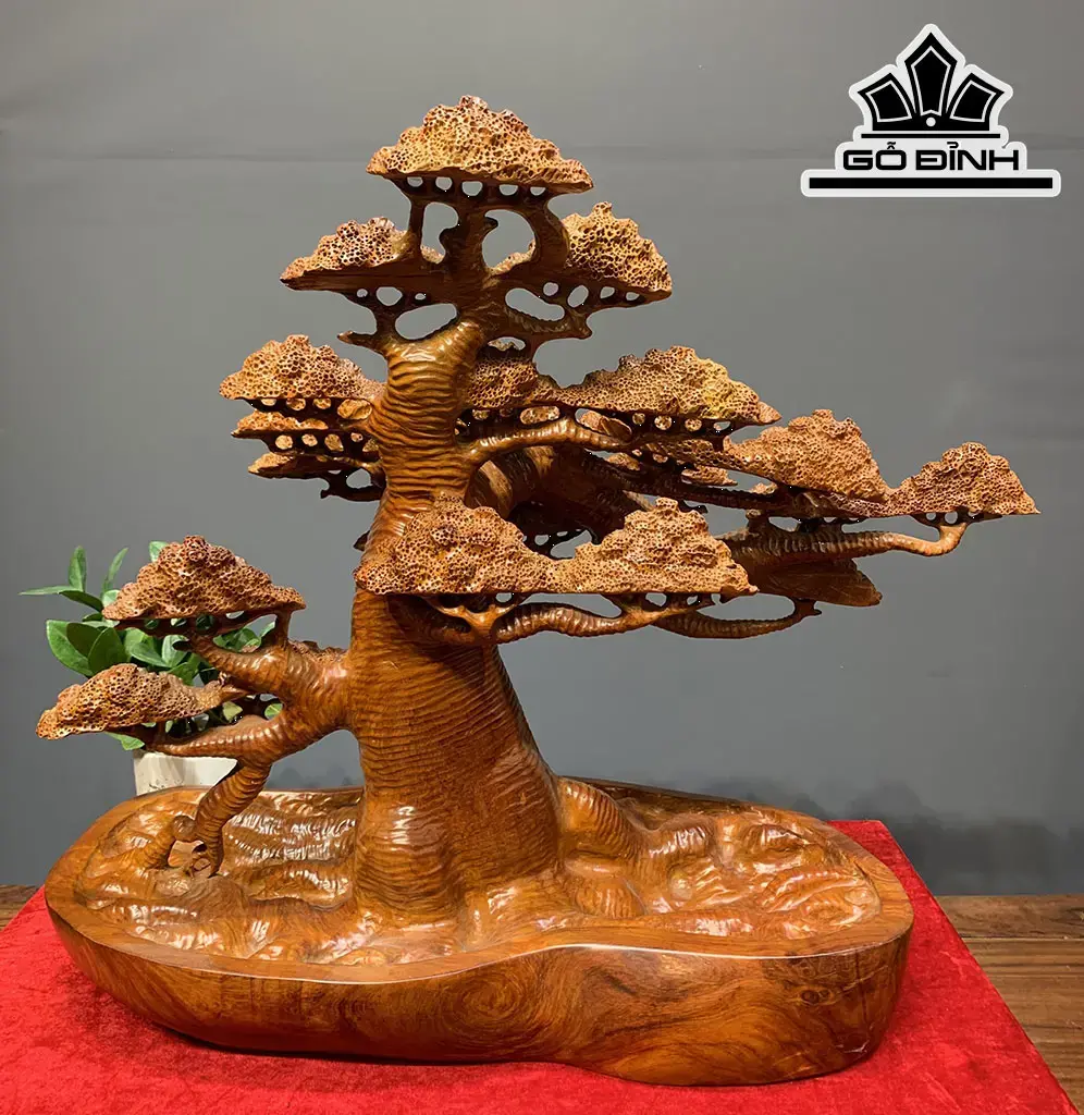 Cây Tùng Bonsai Gỗ Hương Cao 58 Ngang 73 Sâu 38 (cm)