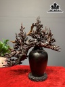 Bình Hoa Mai Gỗ Trắc Cao 45 Ngang 42 Sâu 30 (cm)