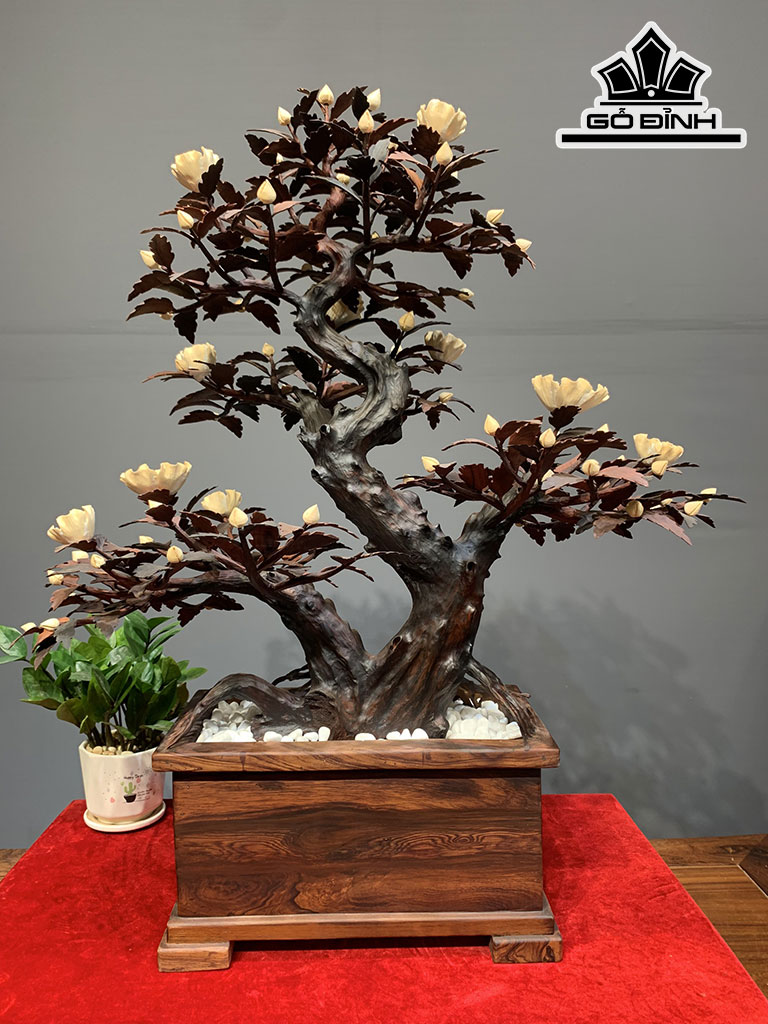 Chậu Phù Dung Gỗ Trắc Cao 79 Ngang 63 Sâu 38 (cm)