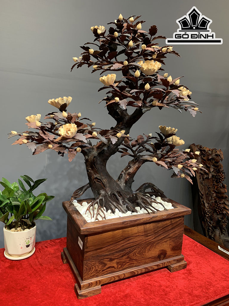 Chậu Phù Dung Gỗ Trắc Cao 79 Ngang 63 Sâu 38 (cm)
