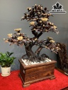 Chậu Phù Dung Gỗ Trắc Cao 79 Ngang 63 Sâu 38 (cm)