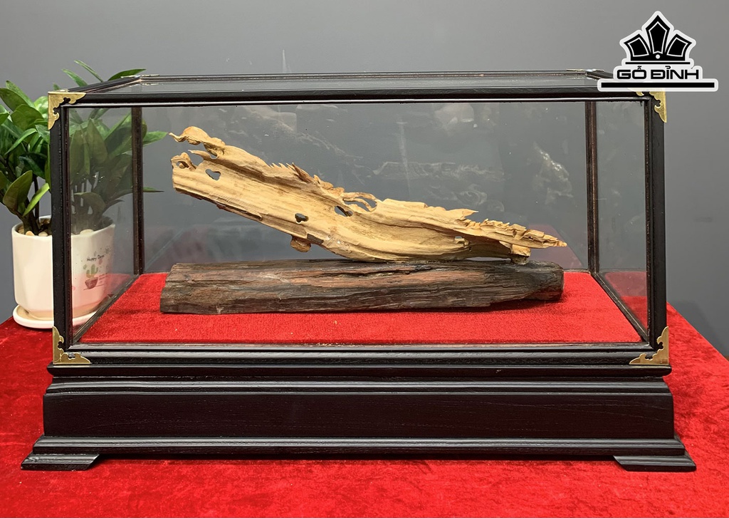 Tượng Nhất Long Gỗ Hoàng Đàn Cao 16 Ngang 33 Sâu 9 (cm)