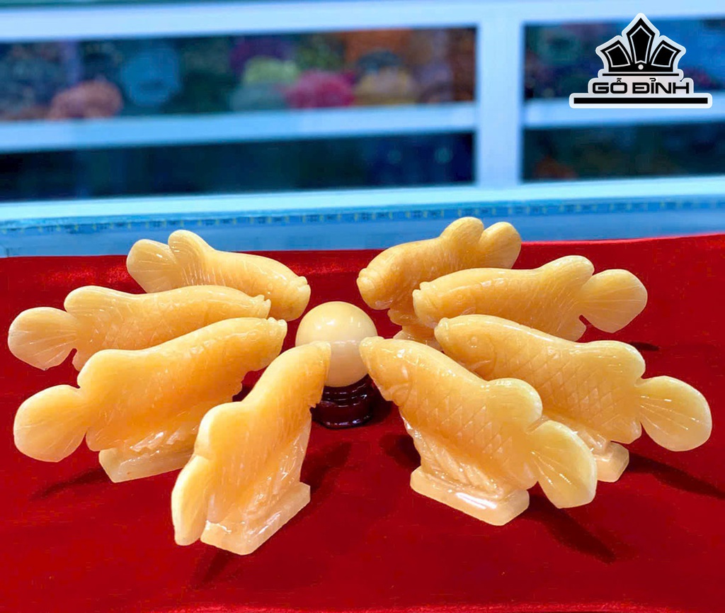 Cặp Cá Rồng Đá Ngọc Hoàng Long Cao 6 Ngang 15 (cm)