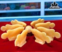 Cặp Cá Rồng Đá Ngọc Hoàng Long Cao 6 Ngang 15 (cm)