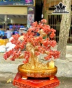 Cây Tài Lộc Phát Tài Đá Thạch Anh Cao 38 (cm)