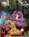 Cây Tài Lộc Phát Tài Đá Thạch Anh Cao 38 (cm)