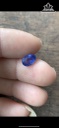 Viên Đá Sapphire Đường Kính Hạt 1,65 (mm) 1,65cts