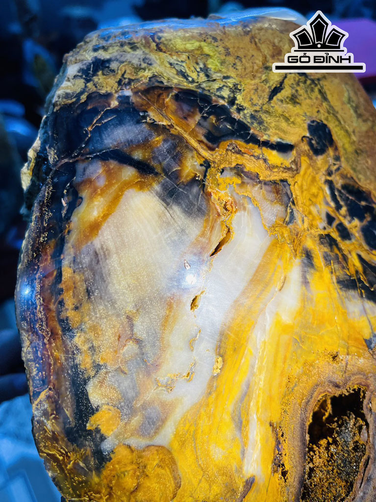 Tác Phẩm Gỗ Hóa Thạch Cao 73 Ngang 35 (cm) 62kg