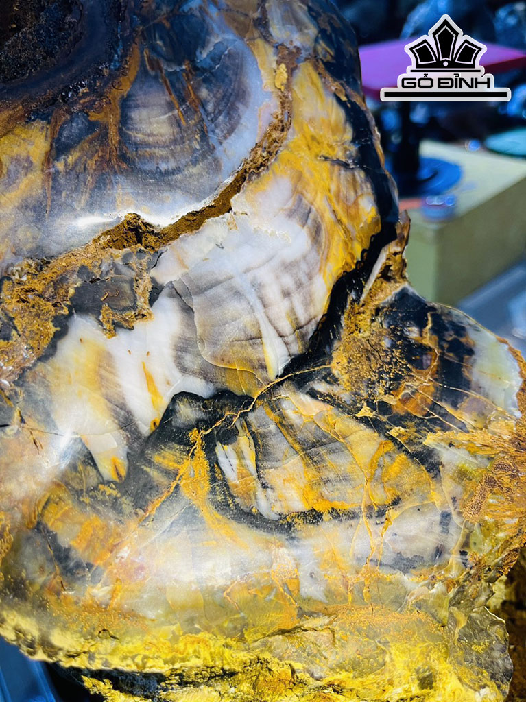 Tác Phẩm Gỗ Hóa Thạch Cao 73 Ngang 35 (cm) 62kg