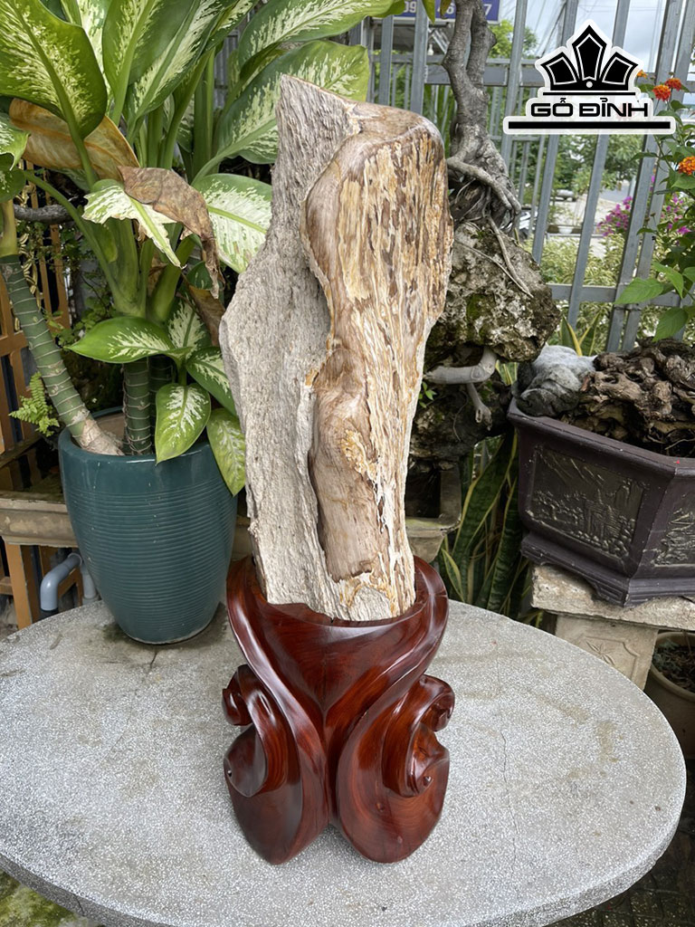 Tác Phẩm Gỗ Hóa Thạch Cao 80 (cm) 31kg