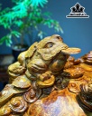 Tượng Song Cóc Trấn Chum Tiền Gỗ Nu Hương Cao 41 Ngang 52 Sâu 43 (cm)
