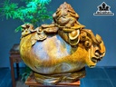 Tượng Song Cóc Trấn Chum Tiền Gỗ Nu Hương Cao 41 Ngang 52 Sâu 43 (cm)