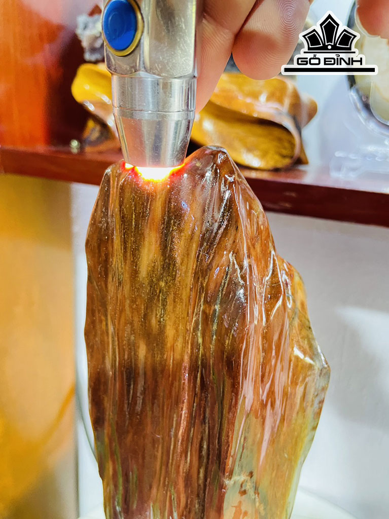 Tác Phẩm Gỗ Hóa Thạch Cao 39 Ngang 10 (cm) 3,2kg