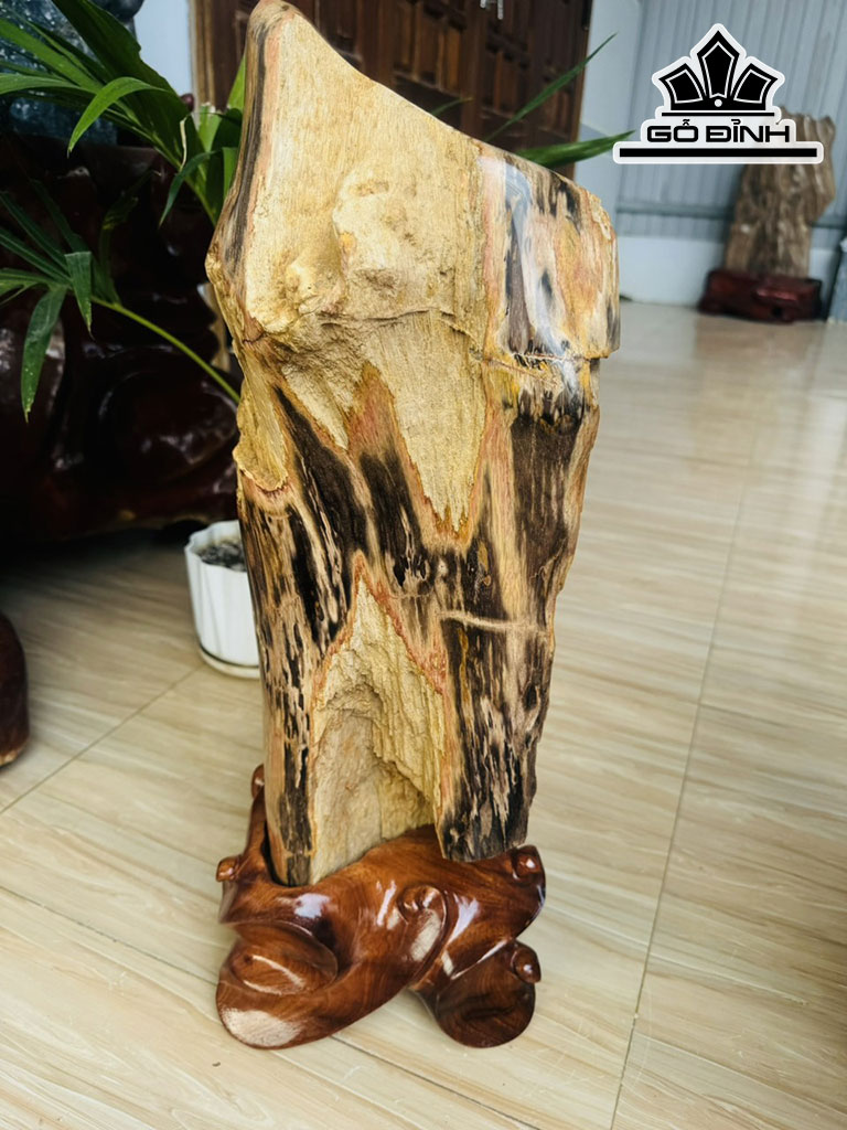 Tác Phẩm Gỗ Hóa Thạch Cao 56 Ngang 20 (cm) 17,6kg