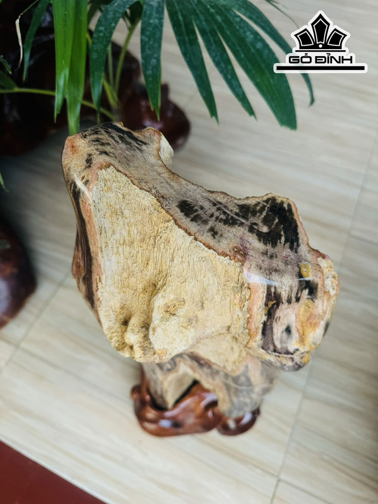 Tác Phẩm Gỗ Hóa Thạch Cao 56 Ngang 20 (cm) 17,6kg