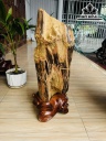 Tác Phẩm Gỗ Hóa Thạch Cao 56 Ngang 20 (cm) 17,6kg