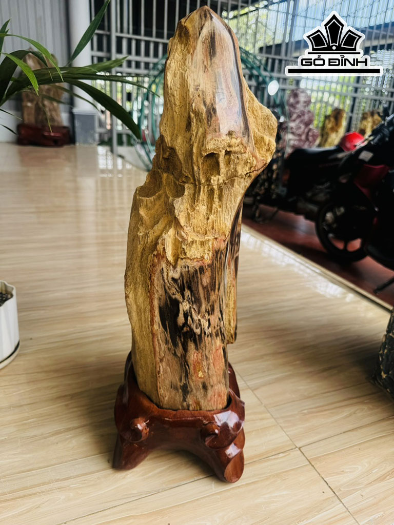 Tác Phẩm Gỗ Hóa Thạch Cao 56 Ngang 20 (cm) 17,6kg