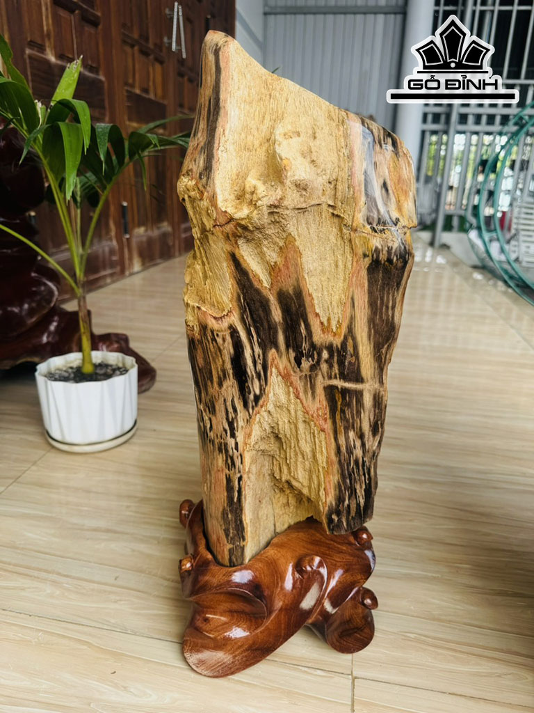 Tác Phẩm Gỗ Hóa Thạch Cao 56 Ngang 20 (cm) 17,6kg