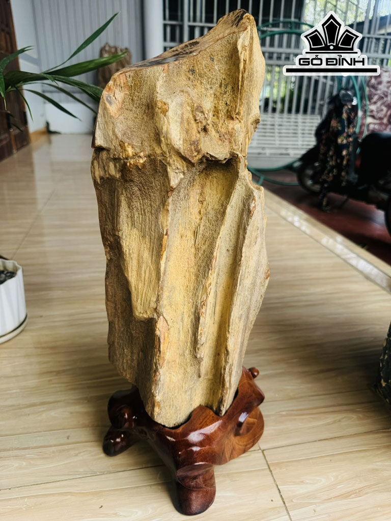Tác Phẩm Gỗ Hóa Thạch Cao 56 Ngang 20 (cm) 17,6kg