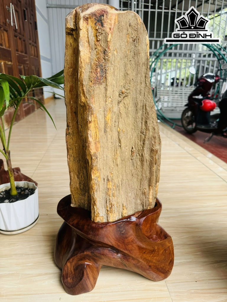 Tác Phẩm Gỗ Hóa Thạch Cao 65 Ngang 22 (cm) 24kg