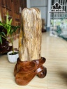 Tác Phẩm Gỗ Hóa Thạch Cao 65 Ngang 22 (cm) 24kg