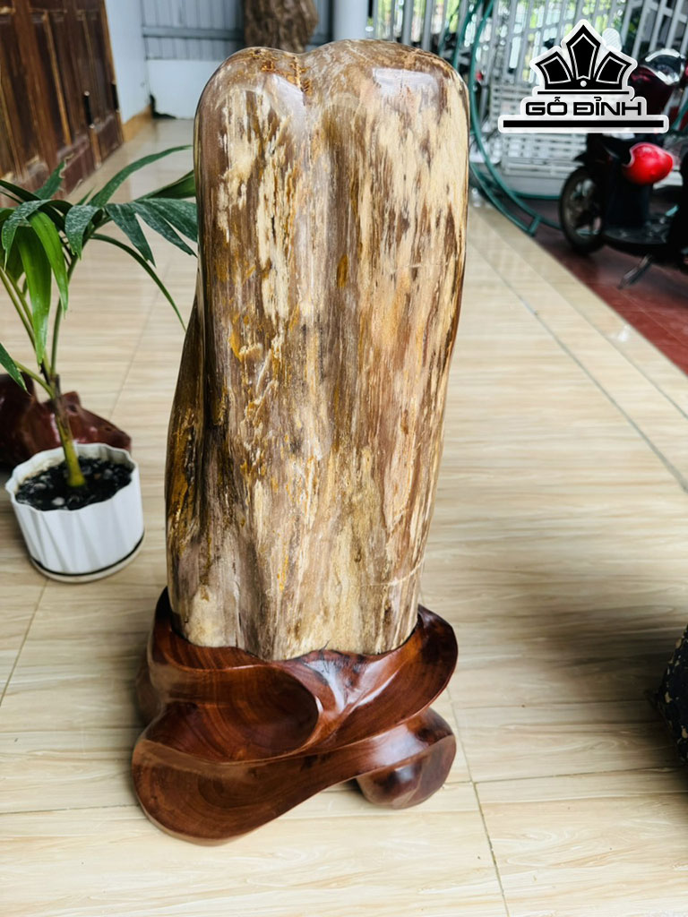 Tác Phẩm Gỗ Hóa Thạch Cao 65 Ngang 22 (cm) 24kg