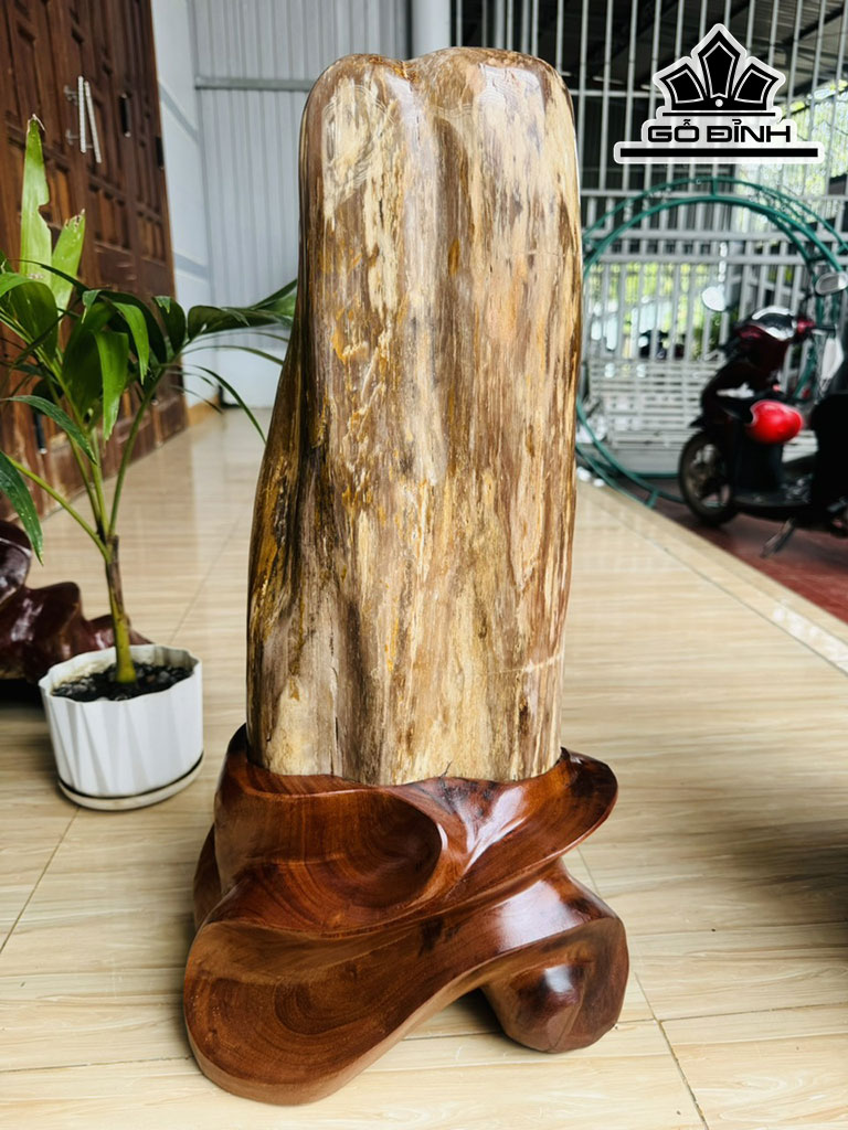 Tác Phẩm Gỗ Hóa Thạch Cao 65 Ngang 22 (cm) 24kg
