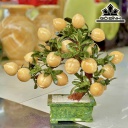 Cây Đào 18 Quả Đá Ngọc Hoàng Long Cao 45 Ngang 30 (cm) 9kg