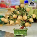 Cây Đào 18 Quả Đá Ngọc Hoàng Long Cao 45 Ngang 30 (cm) 9kg